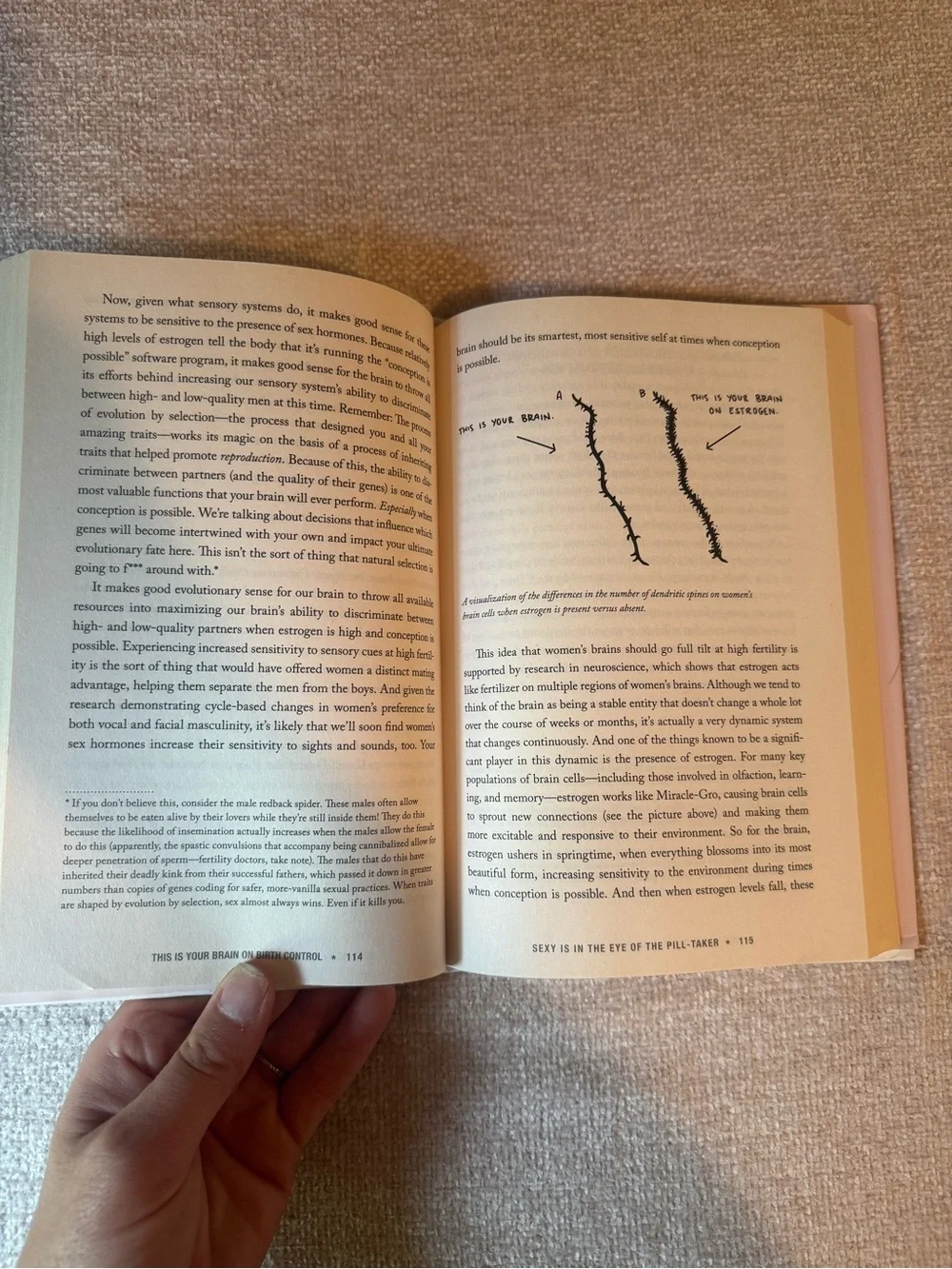 This Is Your Brain on Birth Control Hardback Book
